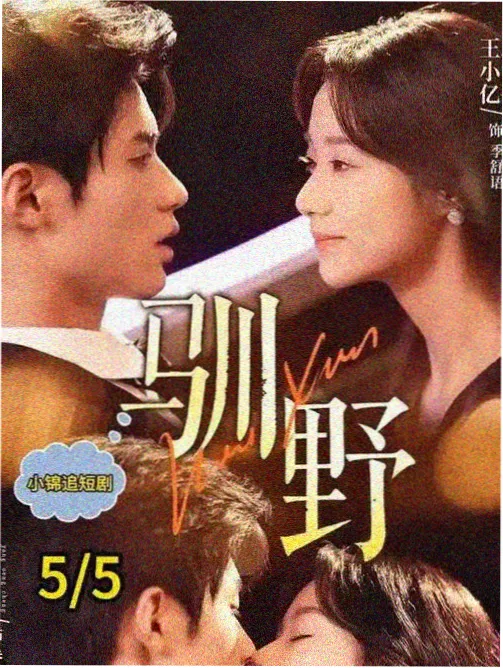 《藏蓝时刻》纪录剧集海报，藏蓝夜色下的城市轮廓